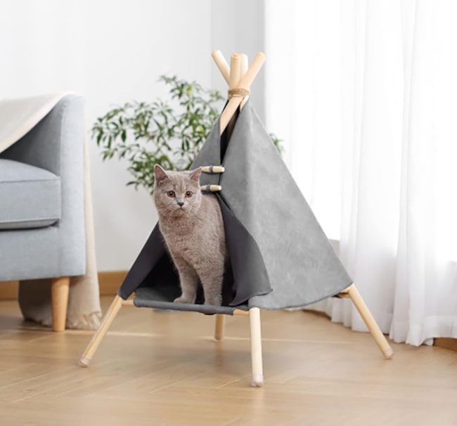 Home Marketplace2 23 hotspot-carusel-cat-tent-opt-opt