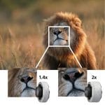 Sony FE 600mm F4 GM OSS - Imagen 8