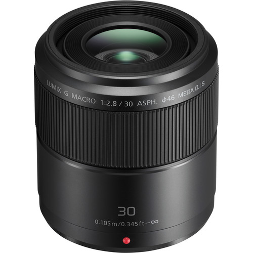 anasonic Lumix G Macro 30mm f/2.8 ASPH. MEGA O.I.S.