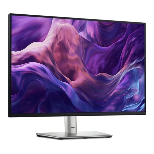Dell Pro 24 Plus Monitor WUXGA (1920 x 1200) USB-C Hub - P2425E